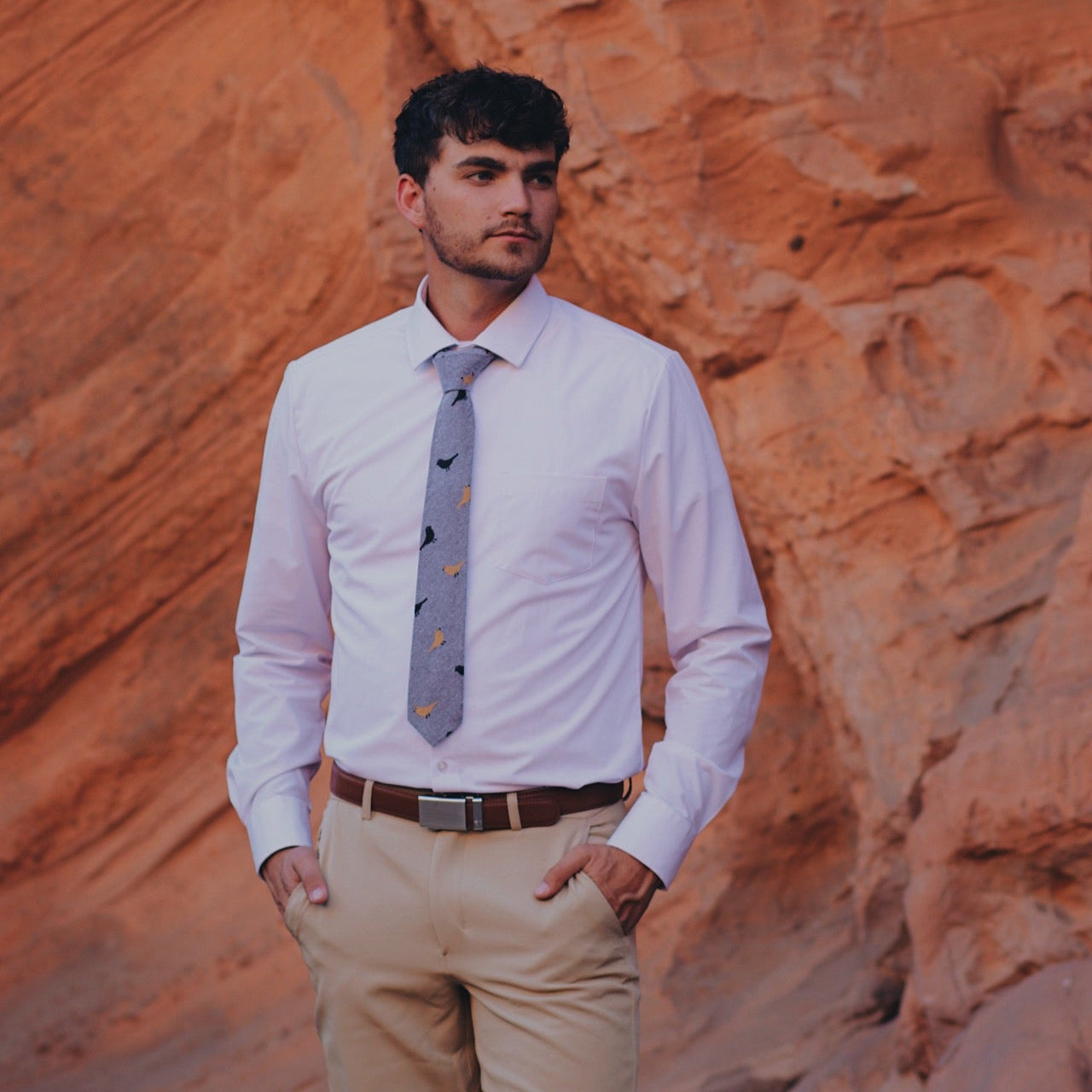 Light-Gray Bird Tie